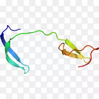 ֱ�ߵ�Ҷ��������-������