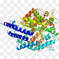 人体珠宝系列有机体剪贴画-珠宝-空若网 人体珠宝系列有机体剪贴画-珠宝-空若网