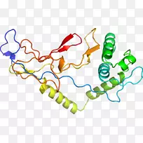 �ߵ������������-������