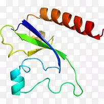 线点生物剪贴画线-空若网 线点生物剪贴画线-空若网