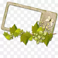 中心博客设计师-花卉图案花边线绘制-空若网 中心博客设计师-花卉图案花边线绘制-空若网