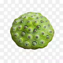 ������Ӱ-������Ӱ-������