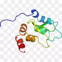 人体首饰有机体线剪贴画线-空若网 人体首饰有机体线剪贴画线-空若网