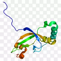 ���������л����߼�������-������