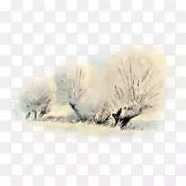 Ë®²Ê»×ÀÃæ±ÚÖ½¶¬¼¾»æ»-¿ÕÈôÍø Ë®²Ê»×ÀÃæ±ÚÖ½¶¬¼¾»æ»-¿ÕÈôÍø