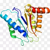 线点生物剪贴画线-空若网 线点生物剪贴画线-空若网