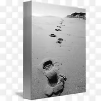 白色沙滩脚印-空若网 白色沙滩脚印-空若网