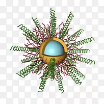 昆虫圣诞装饰字体.生物医学工程-空若网 昆虫圣诞装饰字体.生物医学工程-空若网