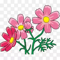 花卉设计花园宇宙切花植物茎设计-空若网 花卉设计花园宇宙切花植物茎设计-空若网