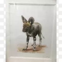 ����.Ұ������.ˮ�ʻ���-������