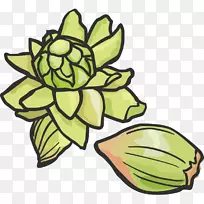 ˮ�������߲˲�ͼ-�߲ˣ�ˮ�����߲ˣ���ɫ��ˮ�����߲�-������