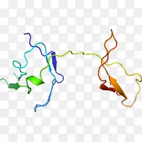 线点生物剪贴画线-空若网 线点生物剪贴画线-空若网
