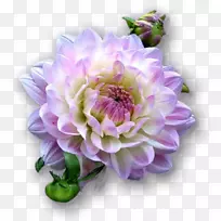 ������������-������