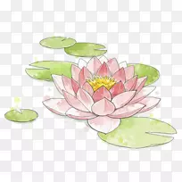 水彩画莲花水彩画-空若网 水彩画莲花水彩画-空若网
