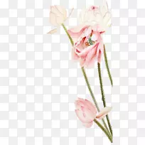 莲藕花设计-空若网 莲藕花设计-空若网