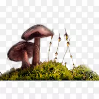 ¶ˮ�㹽-������