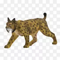 �������ǰ뵺��������ɽè��⵶���ɽè�ֵض���-������