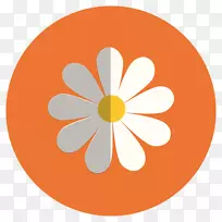 时尚博客西班牙剪贴画-花卉套装-空若网 时尚博客西班牙剪贴画-花卉套装-空若网