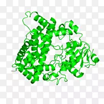 �ߵ������������-������