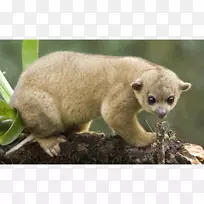 ½���������-������