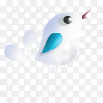 电脑壁纸-鸟-空若网 电脑壁纸-鸟-空若网