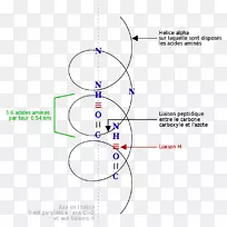 ��-�������צ�-������-������