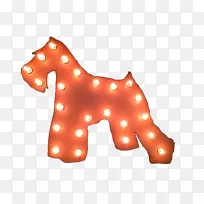 犬科犬鼻子犬-空若网 犬科犬鼻子犬-空若网