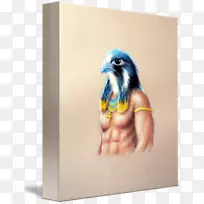 �Ű���������˹�񻰻�³˹������-��-������