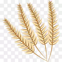 ��ʳ����С������С��-������