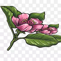 花朵设计-浅粉色花束-空若网 花朵设计-浅粉色花束-空若网