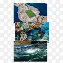 澳大利亚海洋生物资源健康珊瑚礁-海洋-空若网 澳大利亚海洋生物资源健康珊瑚礁-海洋-空若网