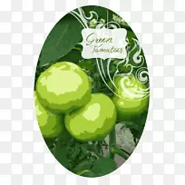 圣诞点缀水果-圣诞节-空若网 圣诞点缀水果-圣诞节-空若网