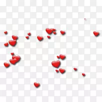 ȫ��֮����Ѱ�׿-��-������