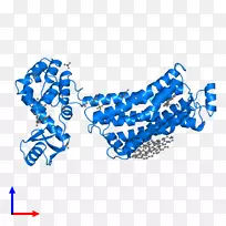 ��־�������-������