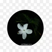 ������魡���ľ������-����-������