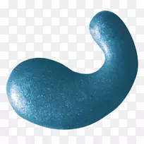 绿松石豹变色龙-空若网 绿松石豹变色龙-空若网