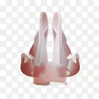 手指整形鼻腔-空若网 手指整形鼻腔-空若网