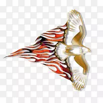 猛禽喙鹰夹艺术鸟-空若网 猛禽喙鹰夹艺术鸟-空若网