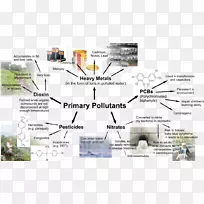 组织线树字体线-空若网 组织线树字体线-空若网