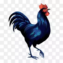 �������񲩿�-��-������