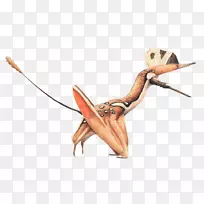 ����������-������