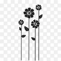 ����Ҷֲ�ﾥ����ֲ��-Ҷ-������