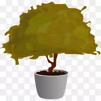 �������辰������-��-������