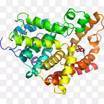 珠体珠宝有机体剪贴画.珠宝-空若网 珠体珠宝有机体剪贴画.珠宝-空若网