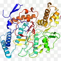 线点生物剪贴画线-空若网 线点生物剪贴画线-空若网
