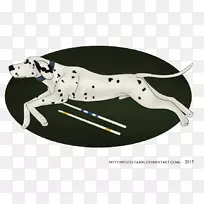 ���������Ȯ��ȮƷ�ֲ豭Ȯ����Э��-������