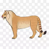 大猫狗科陆生动物-猫-空若网 大猫狗科陆生动物-猫-空若网