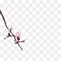 花瓣玉兰花水彩画-桃花-空若网 花瓣玉兰花水彩画-桃花-空若网