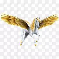 ��������ɯ���������г��Ķ�����-��-������