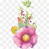 ˮ�ʻ�����ˮ�ʻ�������.Ư��ˮ�ʻ�����-������